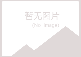 鲁山县夏岚司机有限公司